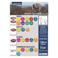 Ancol Vintage Leather Padded Collar Brown -Greentide Garden Store CVINLEABWN 2