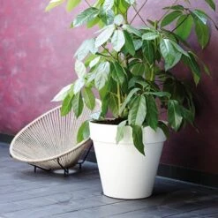 Elho Loft Urban Round Pot With Wheels 40cm - Various Colours