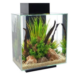 Fluval Edge 2.0 Aquarium 46 Litre