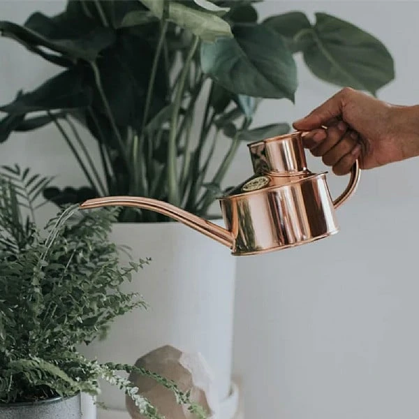 Haws Fazeley Flow 1 Pint Watering Can (Various Colours) 4 Haws Fazeley Flow 1 Pint Watering Can (Various Colours) - Image 2