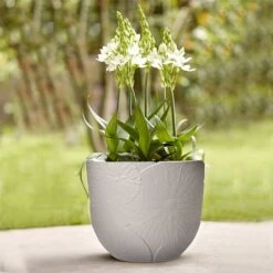 Elho Fuente 47cm Lily Round Planter (Various Colours) 5 Elho Fuente 47cm Lily Round Planter (Various Colours) -Greentide Garden Store FULILRND47 1