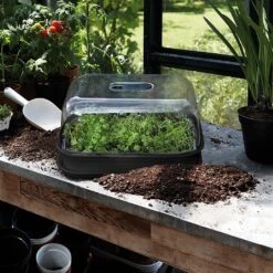 Greentide Garden Store 10 Greentide Garden Store -Greentide Garden Store GBALLIN1GK 1