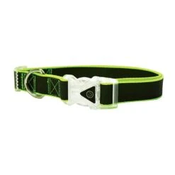 Happy Pet Go Walk LED Reflective Rainbow Dog Collar (Various Sizes)