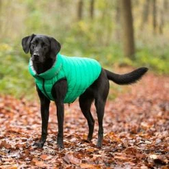 Hugo & Hudson Reversible Puffer Dog Coat Dark Green & Grey (Various Sizes)