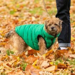 Hugo & Hudson Reversible Puffer Dog Coat Dark Green & Grey (Various Sizes) -Greentide Garden Store HHPUFFGRGY 2