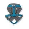 Ancol Viva Padded Harness Blue -Greentide Garden Store HVIVPADBLU