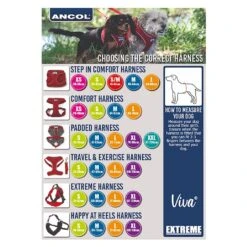 Ancol Viva Step-in Harness Blue -Greentide Garden Store HVIVSIBLUE 2