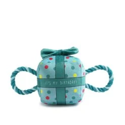 Ancol It's My Birthday Blue Present