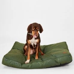 Joules Green Bee Mattress (Various Sizes) -Greentide Garden Store JBEEMATTG 2