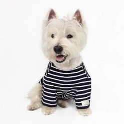 Joules Navy & Cream Stripe Harbour Dog Top -Greentide Garden Store JHARBTOP 3