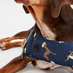 Joules Coastal Dog Print Rain Jacket Pet Coat - Various Sizes -Greentide Garden Store JOULESDOGPRINT 2