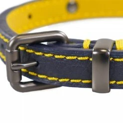 Joules Navy Leather Collar - Various Sizes -Greentide Garden Store JOULESNAVYLEATHER 1