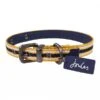 Joules Navy Stripe Coastal Collar - Various Sizes -Greentide Garden Store JOULESNAVYSTRIPECOL