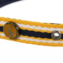 Joules Navy Stripe Coastal Collar - Various Sizes -Greentide Garden Store JOULESNAVYSTRIPECOL 2