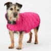 Joules Newdale Quilted Pet Coat Raspberry - Various Sizes -Greentide Garden Store JOULESNEWDALERASP