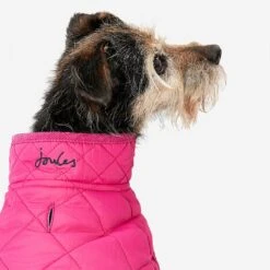 Joules Newdale Quilted Pet Coat Raspberry - Various Sizes -Greentide Garden Store JOULESNEWDALERASP 1