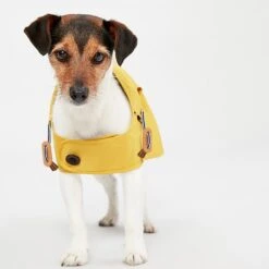 Joules Rain Jacket Antique Gold Pet Coat - Various Sizes -Greentide Garden Store JOULESRAINJACK 1