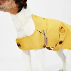 Joules Rain Jacket Antique Gold Pet Coat - Various Sizes -Greentide Garden Store JOULESRAINJACK 2