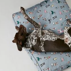 Joules Rainbow Dogs Mattress (Various Sizes) 10 Joules Rainbow Dogs Mattress (Various Sizes) -Greentide Garden Store JRAIDOGMAT 2