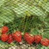 Smart Garden Multi-Mesh - Green - Various Sizes -Greentide Garden Store MULTIMESH