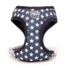 Hugo & Hudson Navy Star Harness -Greentide Garden Store NSHARNESS