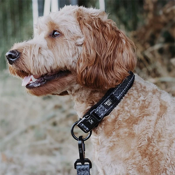 Twiggy Tags Petrichor Adventure Collar - Various Sizes 4 Twiggy Tags Petrichor Adventure Collar - Various Sizes - Image 2