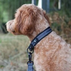 Twiggy Tags Petrichor Adventure Collar - Various Sizes 9 Twiggy Tags Petrichor Adventure Collar - Various Sizes -Greentide Garden Store PETADCOL 4
