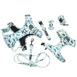 Pawsome Paws Boutique Dinky Dino Adjustable Harness (Various Sizes) -Greentide Garden Store PPBLAJAAHA 3
