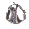 Pawsome Paws Boutique Blackjack Adjustable Harness (Various Sizes) -Greentide Garden Store PPDINKDIAHA