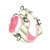 Pawsome Paws Boutique Green Striped Adjustable Harness (Various Sizes) -Greentide Garden Store PPGRSTAHA
