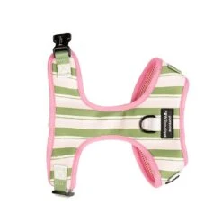 Pawsome Paws Boutique Green Striped Adjustable Harness (Various Sizes) 6 Pawsome Paws Boutique Green Striped Adjustable Harness (Various Sizes) -Greentide Garden Store PPGRSTAHA 2