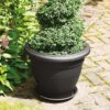Stewart Garden Palladian Planter 50cm (Various Colours) -Greentide Garden Store Palladiant