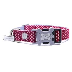 Hugo & Hudson Red Star Bone Dog Collar