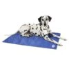 Scruffs Self Cooling Dog Mat -Greentide Garden Store SELFCOOLBL