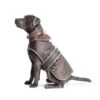 Ancol Stormguard Dog Coat Chocolate (Various Sizes) -Greentide Garden Store SGCHOCO