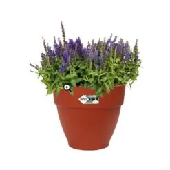 Elho Vibia Campana Round 47cm Planter (Various Colours) -Greentide Garden Store VICAM47 1