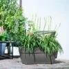 Elho Vibia Campana Trough 70cm (Various Colours) -Greentide Garden Store VICATR70