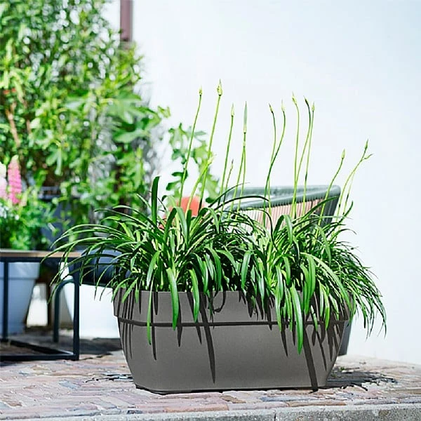 Elho Vibia Campana Trough 70cm (Various Colours) 3 Elho Vibia Campana Trough 70cm (Various Colours)