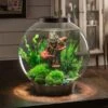 BiOrb CLASSIC 30 Aquarium With MCR LED -Greentide Garden Store biorbclas30