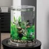 BiOrb TUBE 30 Aquarium With MCR LED -Greentide Garden Store biorbtube30
